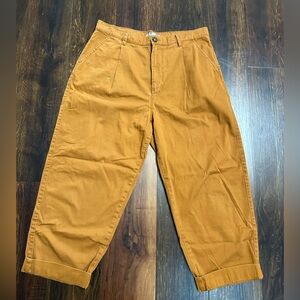 Urban Outfitters Unisex Brown Chinos